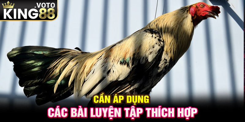 Cần áp dụng các bài luyện tập thích hợp