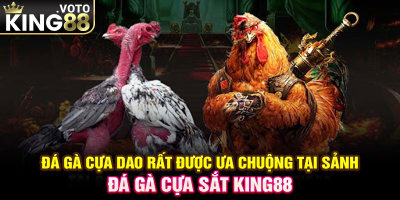 Đá gà cựa dao rất được ưa chuộng tại sảnh đá gà cựa sắt King88