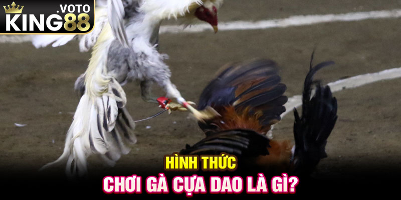 Hình thức chơi gà cựa dao là gì?