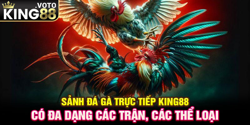 Sảnh đá gà trực tiếp King88 có đa dạng các trận, các thể loại